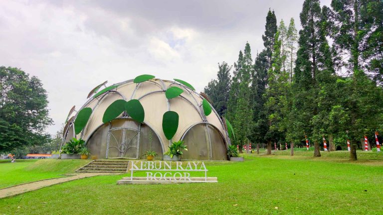 kebun raya bogor gambar hamparan rumput hijau yang cocok jad destinasi wisata viral 2024